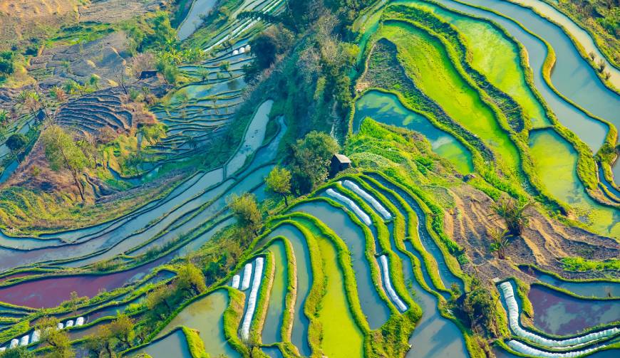 走进双阳区TVC拍摄：解锁本地化场景与创意镜头的完美融合
